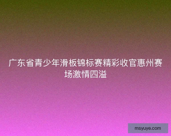 广东省青少年滑板锦标赛精彩收官惠州赛场激情四溢